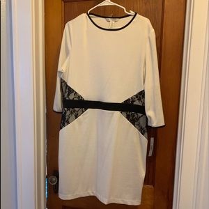 NWT AA Studio white/black lace dress